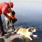 Rescate de un perro atrapado en un lago siberiano.