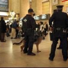 Las autoridades estadounidenses vigilan la terminal New York's Grand Central Terminal