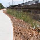 La zona de Mercaleón es uno de los lugares donde más basura se aprecia.