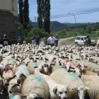 La localidad de Prioro recibe mañana con una fiesta a los rebaños de ovejas trashumantes. CAMPOS
