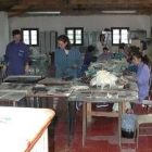 El centro ocupacional es uno de los baluartes de Asprona-Bierzo