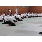 El séptimo Dan y Shihan de Aikido Tomás Sánchez en su magistral desarrollada ayer en León. A. B.