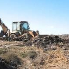 El año pasado se realizaron obras para el sellado del vertedero de La Bañeza