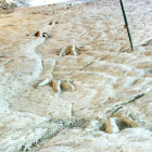 Imagen de archivo de restos de dinosaurio aparecidos cerca de Salas de los Infantes. FEDERICO VÉLEZ