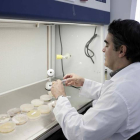 Un  especialista en microbiología ambiental del Centro de Investigación en Estructuras Microscópicas de la Universidad de Costa Rica. JEFFREY ARGUEDAS