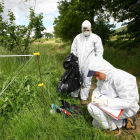 Tratamientos contra el fuego bacteriano. L. DE LA MATA