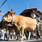 Carros engalanados en las fiestas de San Froilán del año pasado. FERNANDO OTERO