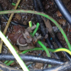 La inspección municipal detectó el corte de los cables de toma de tierra de las farolas.