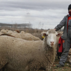 Una ganadería de ovino en León. RAMIRO