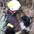 Un bombero de Ponferrada llega a la superficie con Ron, el perro rescatado al caer 30 metros en una chimenea de una antigua mina en Igüeña.