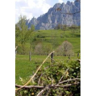 Imagen de los Picos de Europa, al fondo