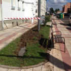 La plataforma para pintar las fachadas destrozó el césped.