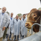 El director general de Producción Agropecuaria, Agustín Álvarez, visita las instalaciones del Centro de Selección y Reproducción Animal (Censyra)