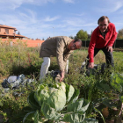 Francisco Catalán y Fernando Quintanilla posan en el huerto ecológico sembrado en el curso de jardinería financiado solidariamente