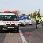 El camión que arrolló al fallecido
