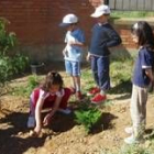 Alumnos del CRA de Navatejera plantando coníferas en un jardín