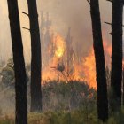 Imagen del fuego registrado en Magaz de Arriba.
