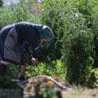 El plan promovido por la Unión Europea busca la integración laboral de las mujeres del medio rural