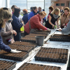 Treinta mayores colaboraron en el semillado de 2.500 flores y productos hortícolas en el invernadero. DL