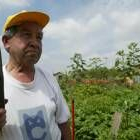 Oben Santamarta muestra uno de los calabacines de más tamaño que le ha dado su huerto este verano