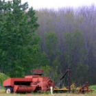 Vieja maquinaria devorada por zonas forestales.