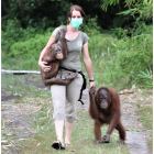 Karmele Llano, con dos orangutanes en Indonesia. DL