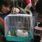 Mascotas en el día de San Antón, en imagen de archivo.