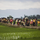 Miembros de la minoría rohingya caminan por un campo de arroz en su huida de Birmania para refugiarse en Bangladés.