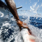 Un atún rojo en uno de los cercados naturales que Balfegó tiene en el Mediterráneo, en L'Ametlla de Mar, sostenible y respetuoso biológicamente, que permite la trazabilidad.