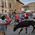 Las vaquillas reunirán a numeroso público el sábado por la noche y el domingo por la tarde. MEDINA