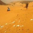 Un piloto del rally Dakar cruza el desierto del Sáhara en Mauritania entre huesos de animales