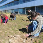 Alumnos de la Universidad durante la plantación de árboles en el Campus.