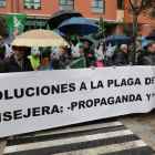 Los manifestantes se concentraron a las puertas de la delegación de la Junta, algunos con máscaras de conejos. L. DE LA MATA