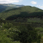 Una de las zonas arboladas de la provincia de León, el bosque de Hormas, en el municipio de Riaño. JESÚS F. SALVADORES