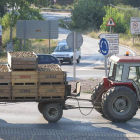 Los primeros cargamentos de manzana reineta comenzaron a entrar en las cámaras de las cooperativas este lunes.