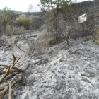 Las brigadas de la UME y de la Junta frenaron el fuego a las puertas de la Reserva Nacional de Caza,