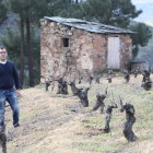 En joven enólogo Nacho Álvarez, en las viñas que ha adquirido en San Pedro de Trones. L. DE LA MATA