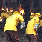 Chile vive una ola de incendios forestales que han arrasado con miles de hectáreas.