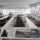 Imagen de la sala central del Museo de la Evolución Humana.