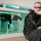El artista Damian Hirst ante un ternero en formol. ARCHIVO