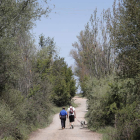 El santuario de La Virgen del Camino, que acaba de ser declarado Bien de Interés Cultural, es el principal símbolo del municipio y el punto de partida de los cientos de peregrinos que dejan atrás la capital leonesa para aventurarse en una de las partes má