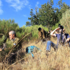 Varios turistas observan el lobo en la cordillera.
