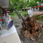 Efectos del tifón Rammasun en la ciudad de Nanning.