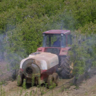 Un agricultor trata con maquinaria una plantación de frutales en el Bierzo. DE LA MATA