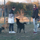 Usuarios del área canina de La Rosaleda. L. DE LA MATA