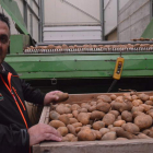 César Pan en las instalaciones de Prodeleco, en Riego de la Vega, junto a un palé de patatas. MEDINA