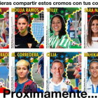 Imagen de los cromos de la Liga Femenina elaborados por Mari Ángeles Vázquez que ella ha colgado en Twitter.