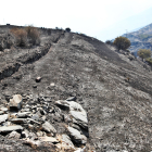 Terreno devastado por el fuego tras el incendio que en agosto de 2017 arrasó La Cabrera. RAMIRO