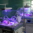 Dos bebés que precisaban cuidados en la incubadora hace unos años. ALEJANDRO ERNESTO