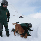 Momento en el que el perro, en este caso Fax, localiza a una de las víctimas bajo la nieve.